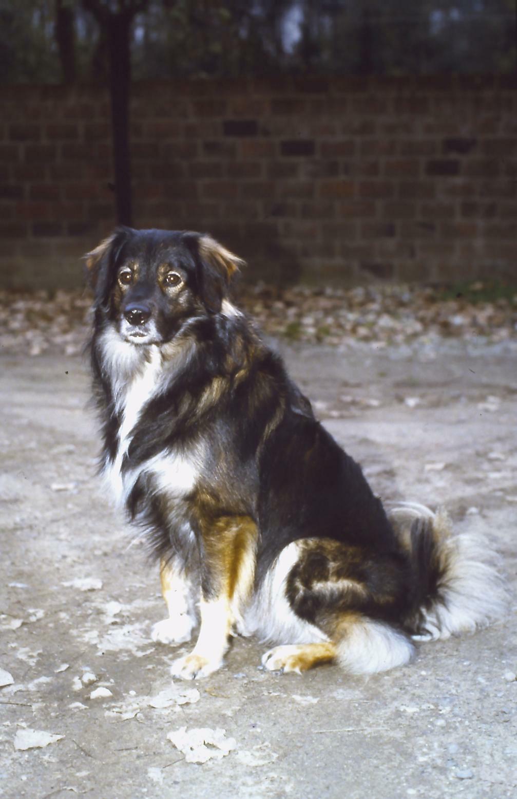 Rudi von der Kamper Straße